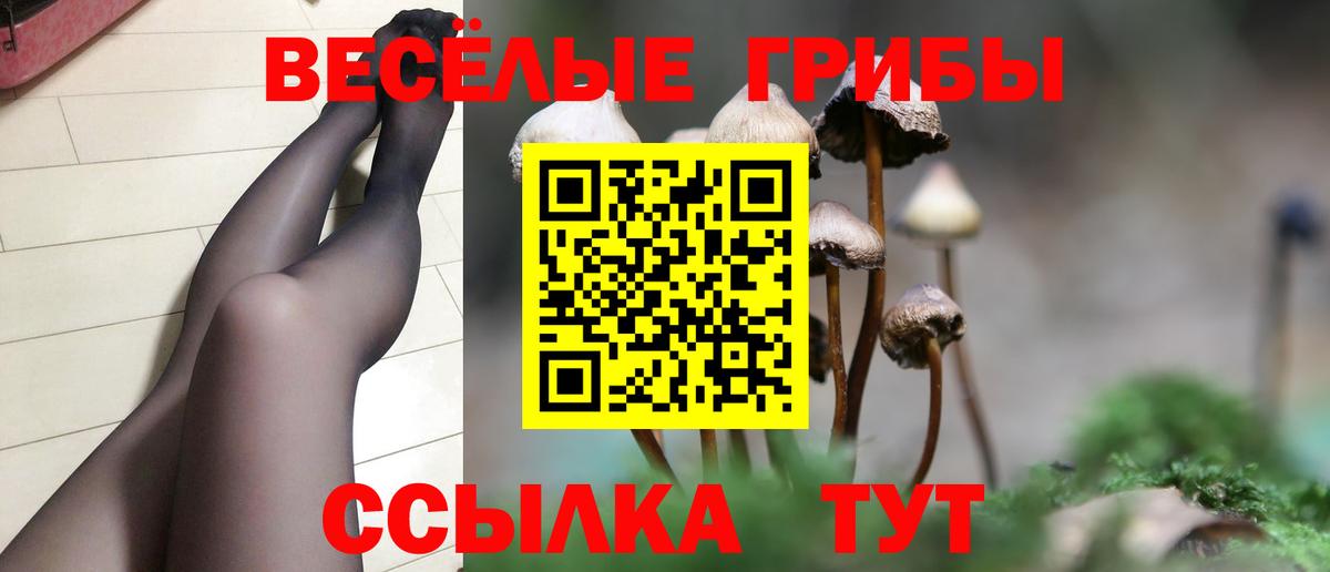 Великий Устюг  Псилоцибиновые грибы ЛСД  как найти закладки  Вход с VPN  Псилоцибиновые грибы Psilocybe 